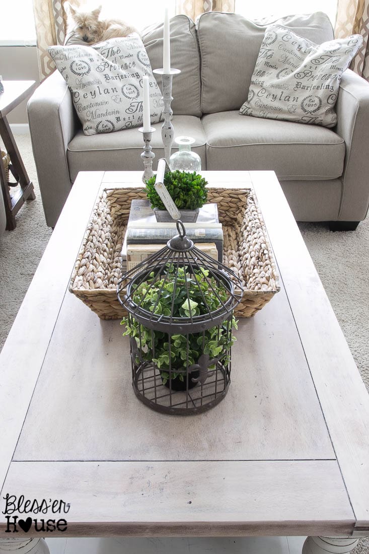 Lifestyle shot of the coffee table, capturing the casual reality of a home with a dog, adding warmth and authenticity to the styled space.