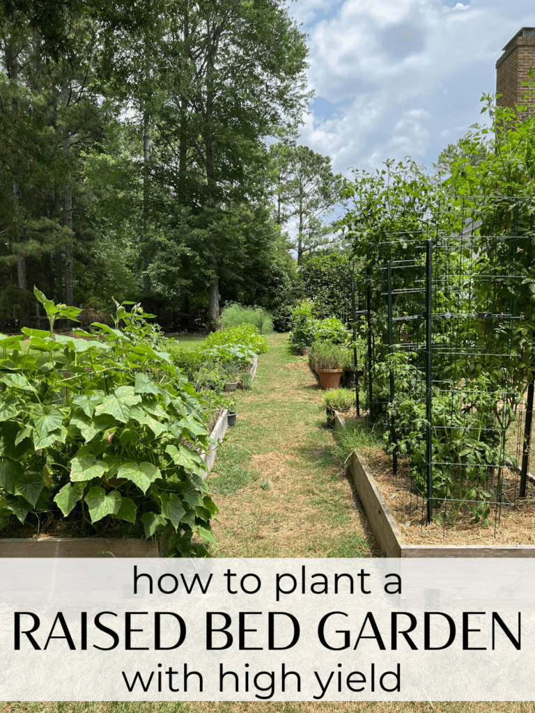 How to Plant a Raised Bed Vegetable Garden with High Yield Bless'er House