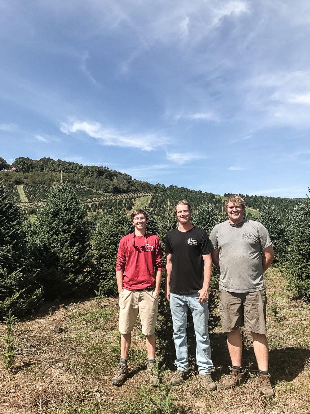 Why We Buy a Real Christmas Tree Every Year | blesserhouse.com - 4 big reasons to buy a real Christmas tree from a lot, farm, or hardware store. #ItsChristmasKeepItReal #ad #christmastree 