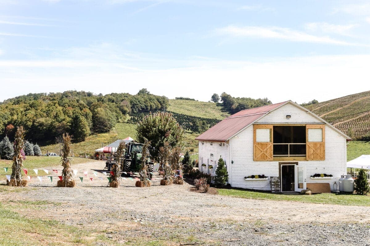 Why We Buy a Real Christmas Tree Every Year | blesserhouse.com - 4 big reasons to buy a real Christmas tree from a lot, farm, or hardware store. #ItsChristmasKeepItReal #ad #christmastree 