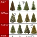 realistic christmas trees for all budgets