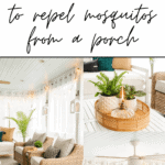 how to keep away mosquitoes from a porch or patio