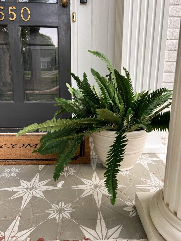 40 Best Faux Outdoor Plants for Planters on a Porch Bless'er House