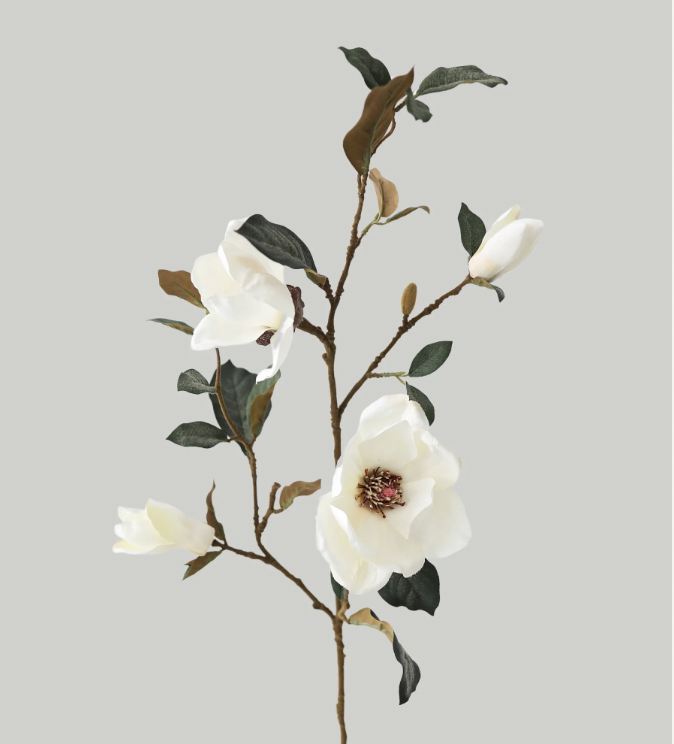 realistic magnolia flower stems