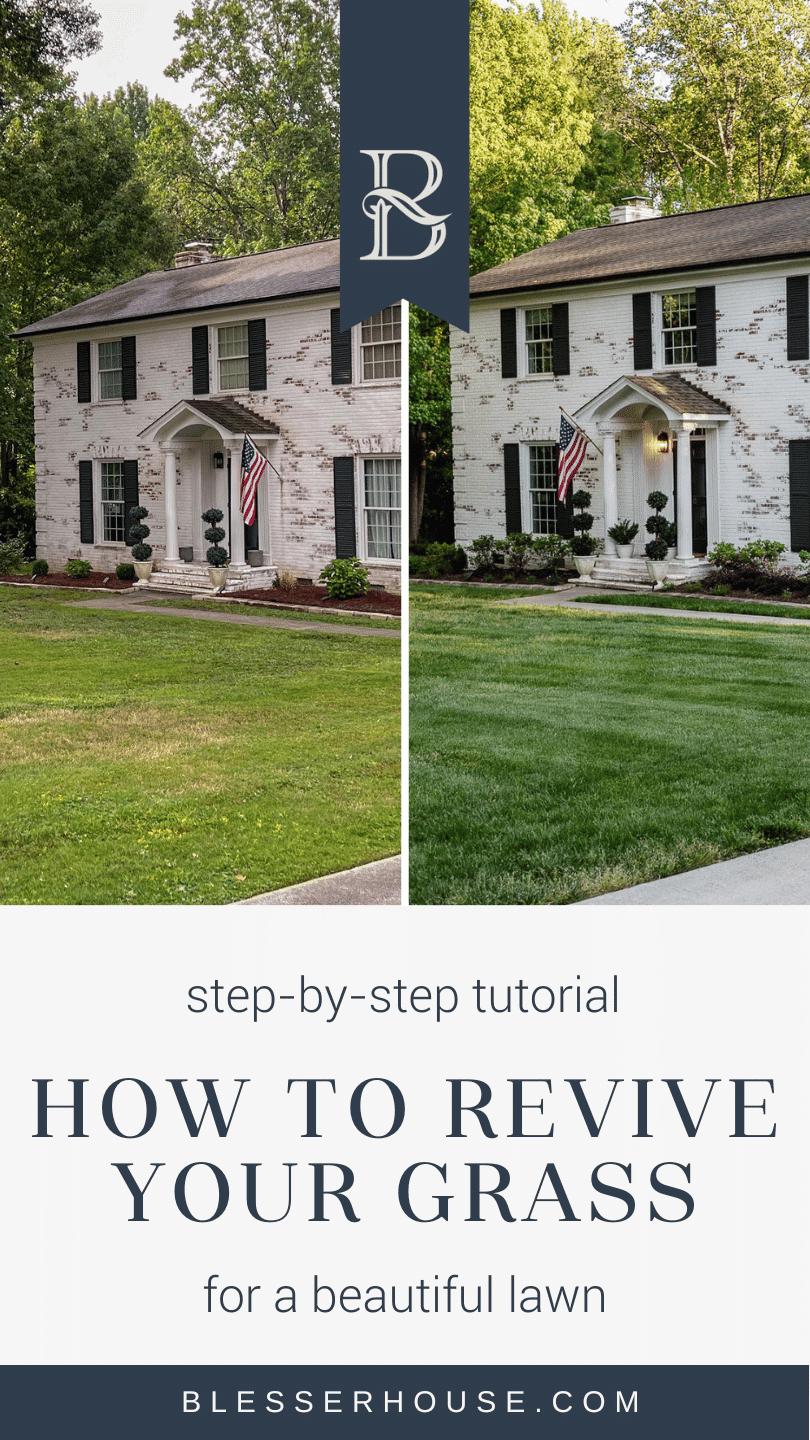 front yard lawn makeover with simplified lawn care steps