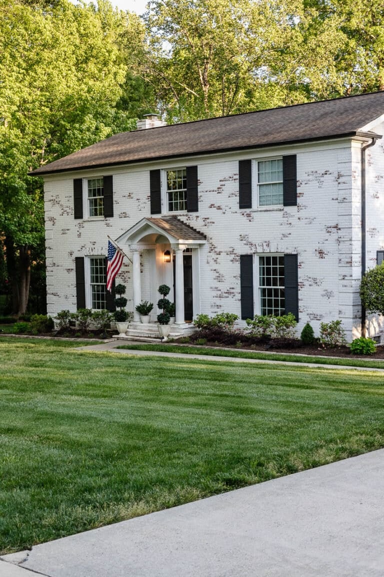 plush grassy lawn makeover after 1 year of growth