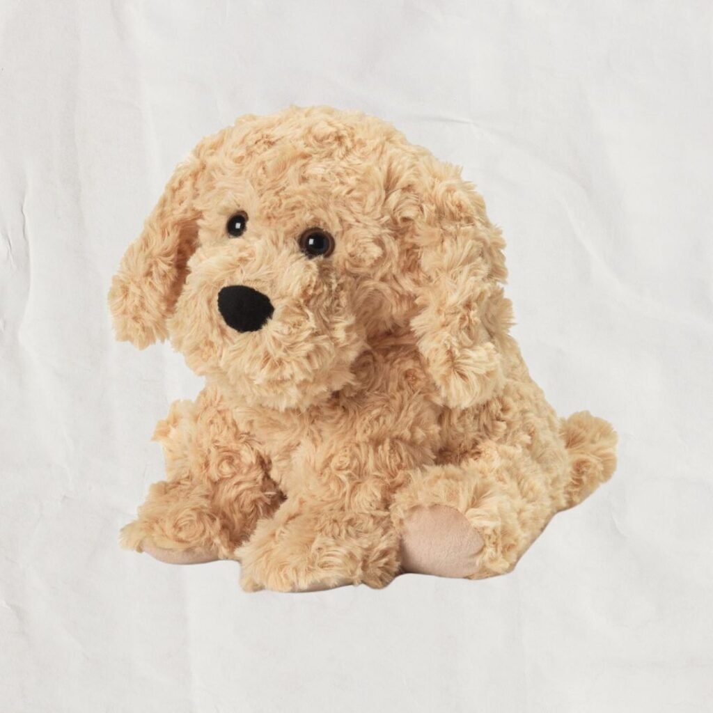 gift idea for kids warmies