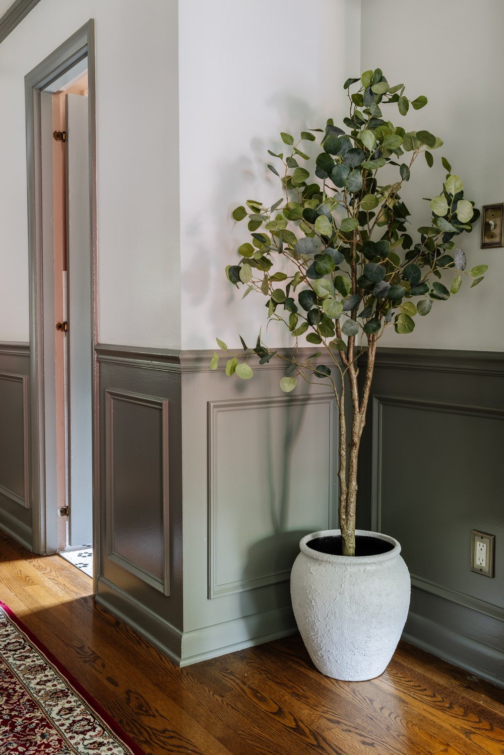 Idées de décoration de couloirs étroites