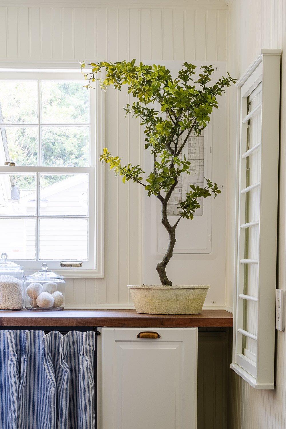 hidden electrical panel in white and potted tree in front