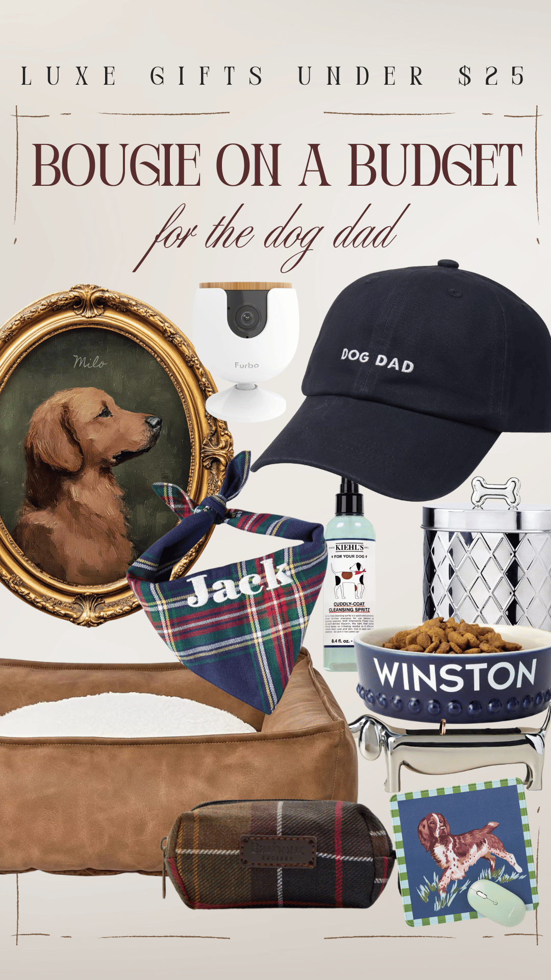 cheap gift ideas under $25 dog dad for him dad grandpa uncle brother friend boyfriend