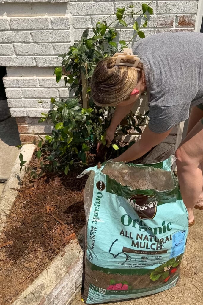 garage curb appeal with copper lanterns, star jasmine, and outdoor trash can hiding panels
