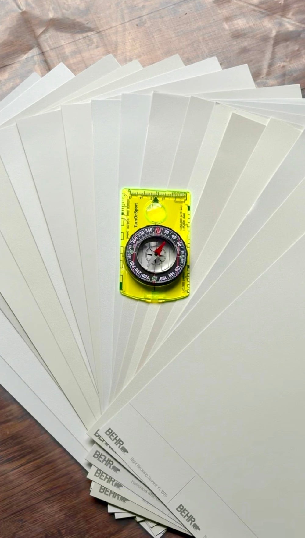 The Best White Paint Colors for Every Room Direction (Use This Compass Trick!)